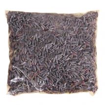 Vervaco Lavender Seeds