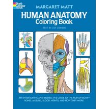 Search Press Margaret Matt Human Anatomy Book