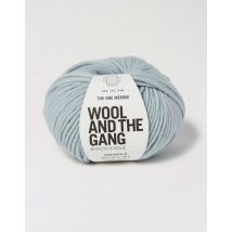 Wool and the Gang The One Merino Aran Yarn Duck Egg Blue