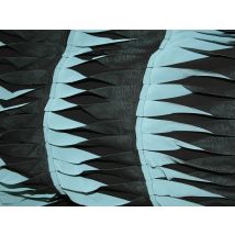 Deadstock Embroidered Sheer Chiffon Fabric Black & Turquoise