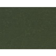 Timeless Treasures 100% Cotton Poplin Fabric Juniper