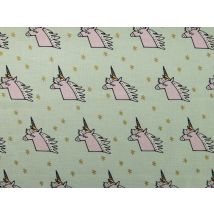 Rico 100% Cotton Fabric Mint Green