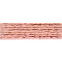 Anchor Stranded Cotton Embroidery Thread (Value Pack) 881