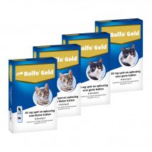 Bolfo Gold Katze 80 - 2 Pipetten
