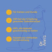 Dr. Ann's Mobility Support Plus - 2 x 30 Kapseln