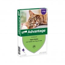 Advantage 80 Katze > 4 kg - 4 Pipetten