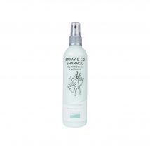 Greenfields Spray & Go Trockenshampoo