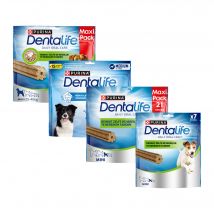 DentaLife - mittelgroße Hunde - 15 sticks