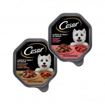 Cesar Cuisine in Sauce - Kalbfleisch und Pute - 14 x 150 g