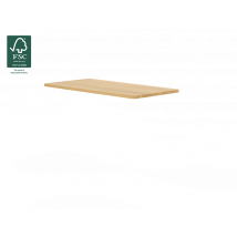 Basic Standing Desk with Desktop