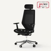 FlexiSpot BS11PRO Mesh Ergonomic Adjustable Office Chair ,Comfortable Computer Chair with Arms and Back Support for Study Office Gaming Works Black