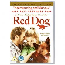 Chien rouge