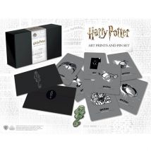 Harry Potter Dark Arts - Pin's et Cartes de collection