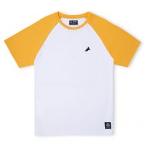 Hufflepuff House Panelled T-Shirt - Yellow - XS