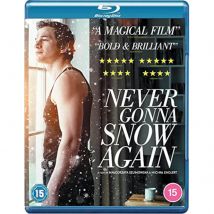 Never Gonna Snow Again