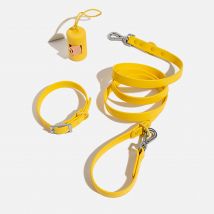 Wild One Dog Collar Walk Kit - Butter Yellow - L