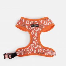 Cocopup Adjustable Dog Harness - Stay Wild - S