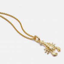 Daisy London Lobster 18k Gold-Plated Sterling Silver Necklace