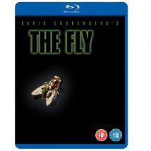 The Fly