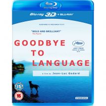 Goodbye to Langage 3D (Includes 2D Version)