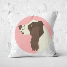 Springer Spaniel Square Cushion - 40x40cm - Soft Touch