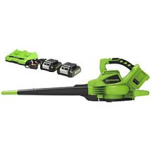 Greenworks 48V (2 x 24V) Blow & Vac with 2 x 4Ah Battery & Charger