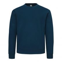 Fruit of the Loom Superkatoenen uniseks sweater voor volwassenen (Blauw in de bergen)