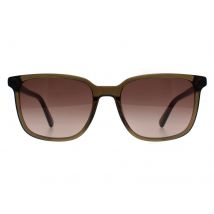 Banana Republic Rechthoek Heren Groen Bruin Kleurverloop BR 4003/S