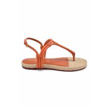 Charlotte Olympia sandalen oranje