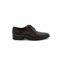Alberto Veterschoenen Bruin