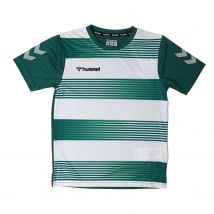 Boy's Hummel Juniors Hoop T-Shirt in Green White
