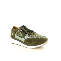 Hafjes Modena 237.70.114