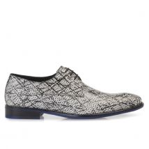 Floris van Bommel 18159