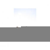 Van Bommel Sbm-30088 veter gekleed