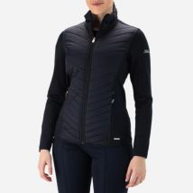 Falcon Laura laura-n024