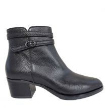 DL Sport 5955 versione 03