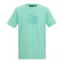 Regatta Heren Cline IX Sea Wave T-Shirt (Ijsgroen)
