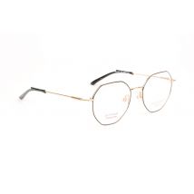 Ana Hickmann Optical Frame HIY1031T 09A 49 Titanium