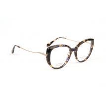 Ana Hickmann Optical Frame HI6334T G21 51 Titanium
