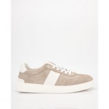 Greve Sneakers