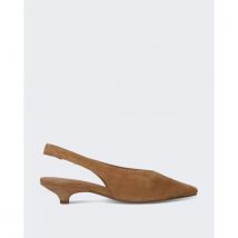 Toral Dames lenore