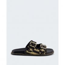Toral Dames hazel