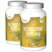 Essentials Berberin 500 mg 2x, HCI 97 % hochdosiert – vegan, 240 Kapseln