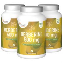 Essentials Berberin 500 mg, HCI 97 % hochdosiert – vegan, 360 Kapseln