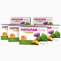 Hepafar forte Premium 6er Pack (3 Monatspaket) Mariendistel Kapseln. 100% natürliche Leberentgiftung. 10x stärkere Wirkung | Sensilab