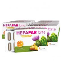 Hepafar forte 12er Pack (6 Monatspaket) - Mariendistel-Kapseln zur Unterstützung der Leberfunktionen. 100% natürliche Leberentgiftung | Sensilab