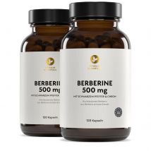 BERBERIN 500 MG (2 Packungen)