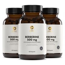 BERBERIN 500 MG (3 Packungen)