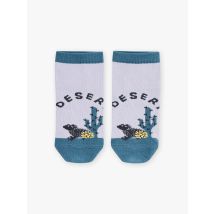 Chaussettes Basses Parme - 29/31 - Sergent Major