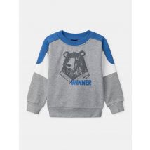 Sweat-shirt Gris Imprimé Ours Garçon - 5a - Sergent Major